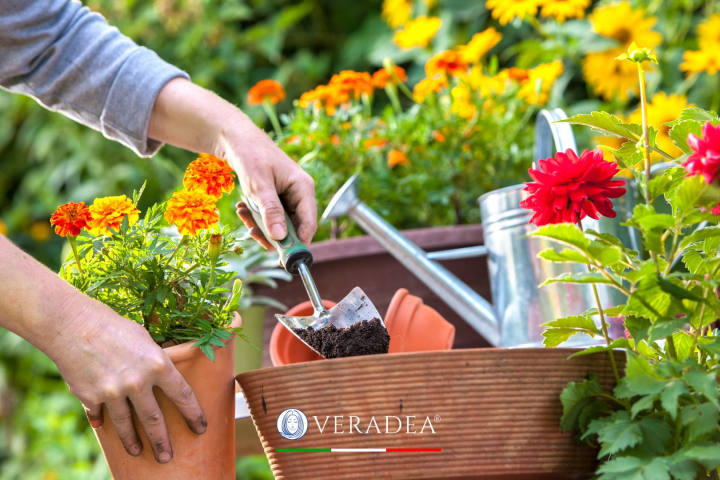 Veradea - stress e giardinaggio